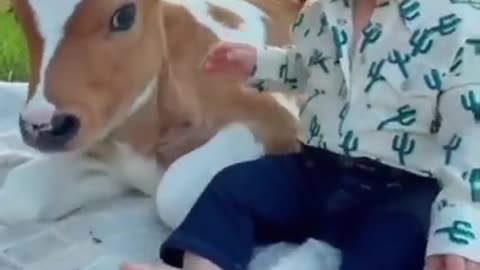 very cute child