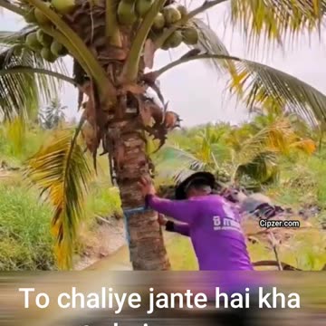 nariyal pani ke fayde