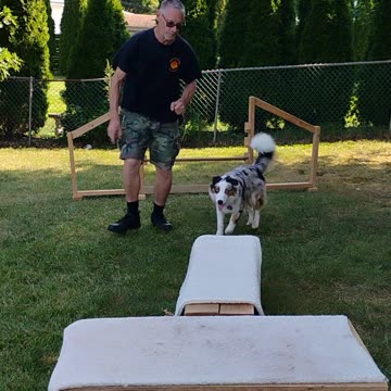 Platform Balance Beam Hurdle 4