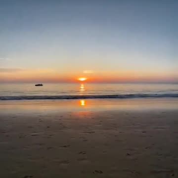 Pro Family - Beach Timeline