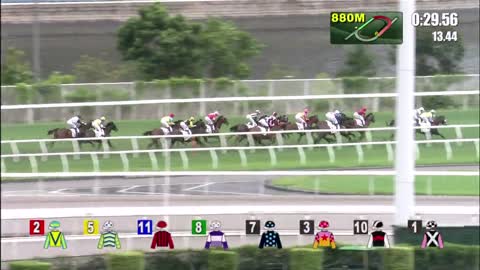 Horce_Race_2022050106_English