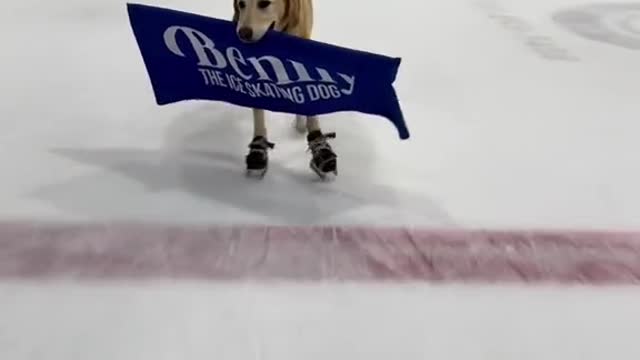 Look at him go