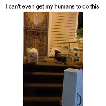 Awesome. Save this video to make you smile later. ⠀