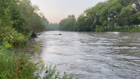 Humber River James Garden ground level