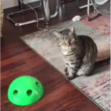 this is how you do it