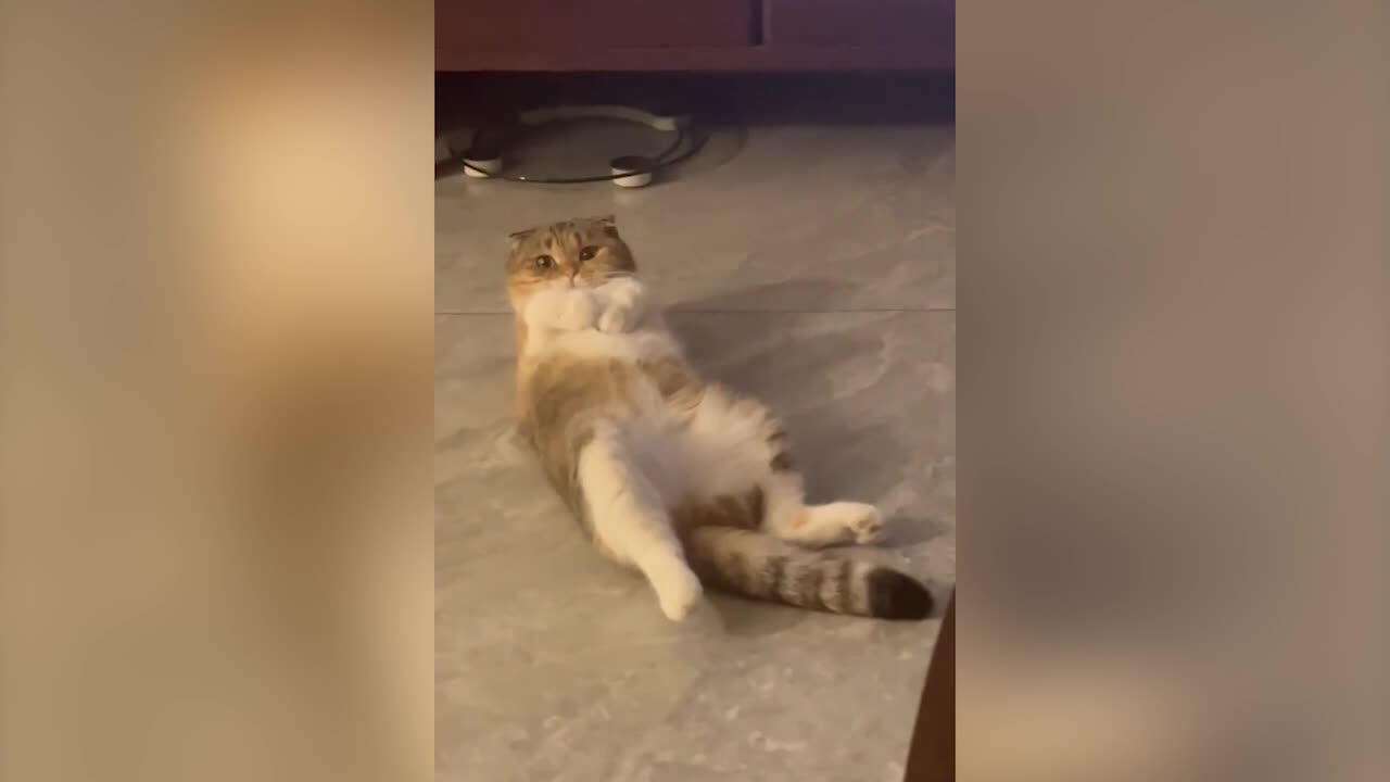 Does it look like you're lying on the sofa?