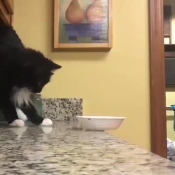 She fights with herself, but the compulsion is greater😆