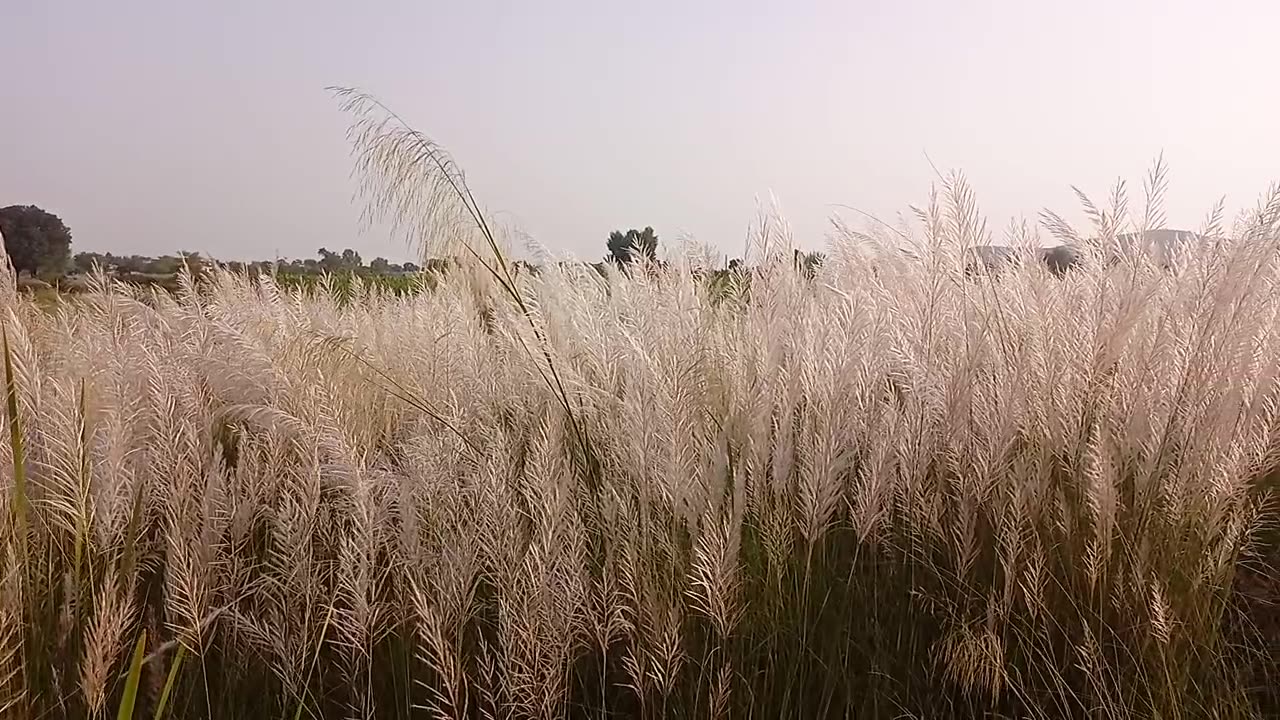 My village beautiful