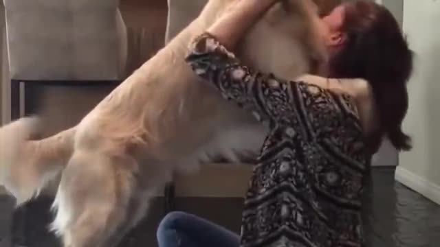 Cute Dog Hug