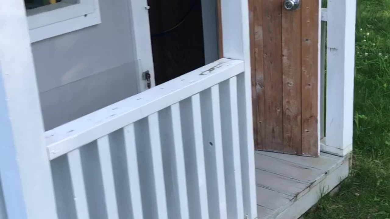 Pool for my grandkids