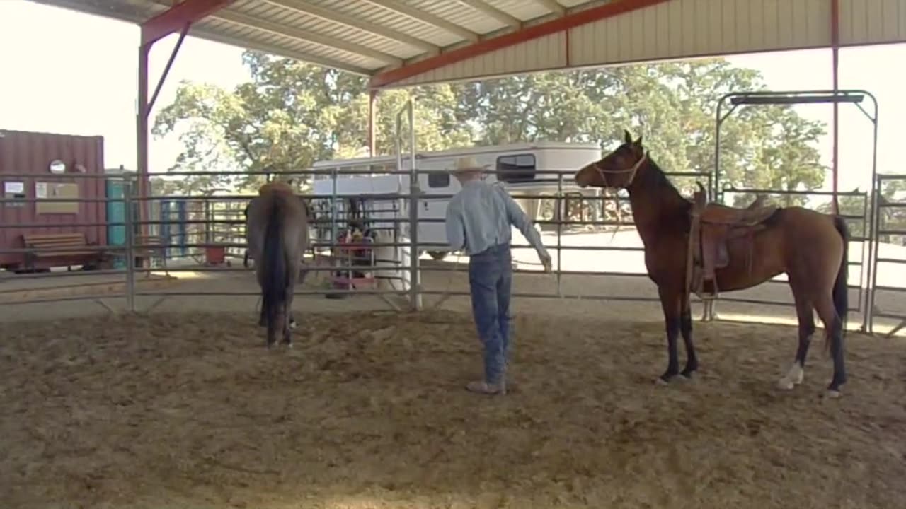 Approaching Horses