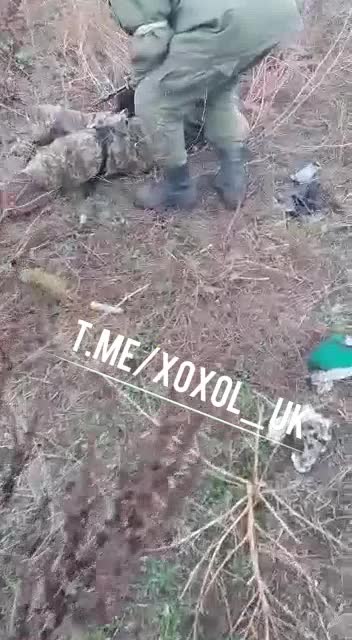 Died for Biden and McDonald's