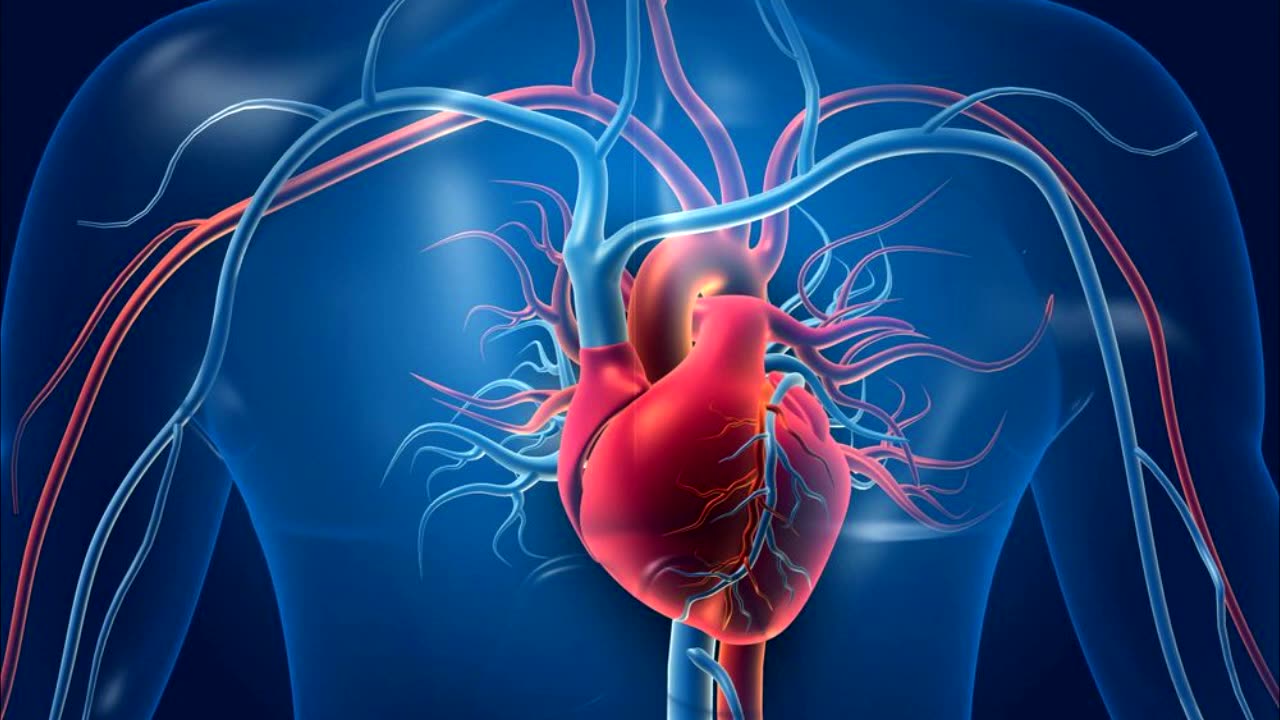 Healthy Cardiovascular System - Healing Subliminal