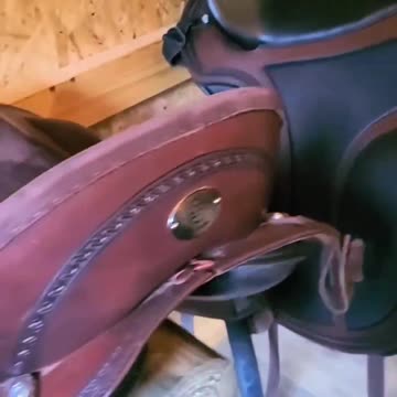 Horse saddle showroom Part 2