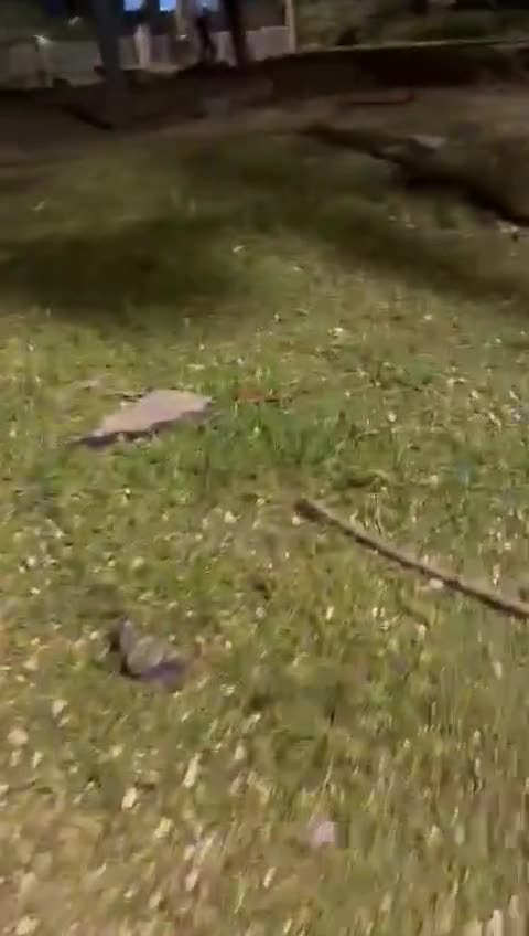 The aftermath frm last night