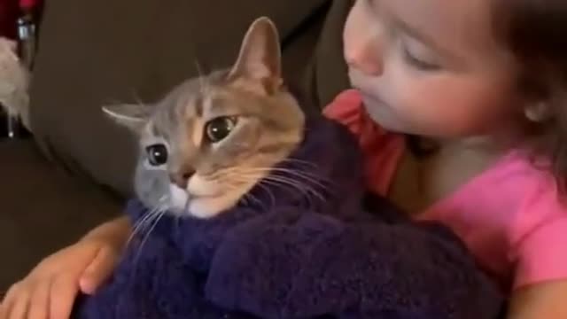 Cute Little Baby Girl Kissing Baby Cat