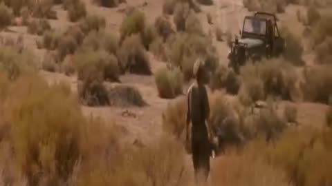 Hollywood clip