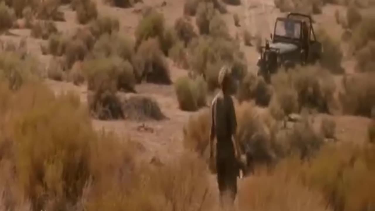 Hollywood clip