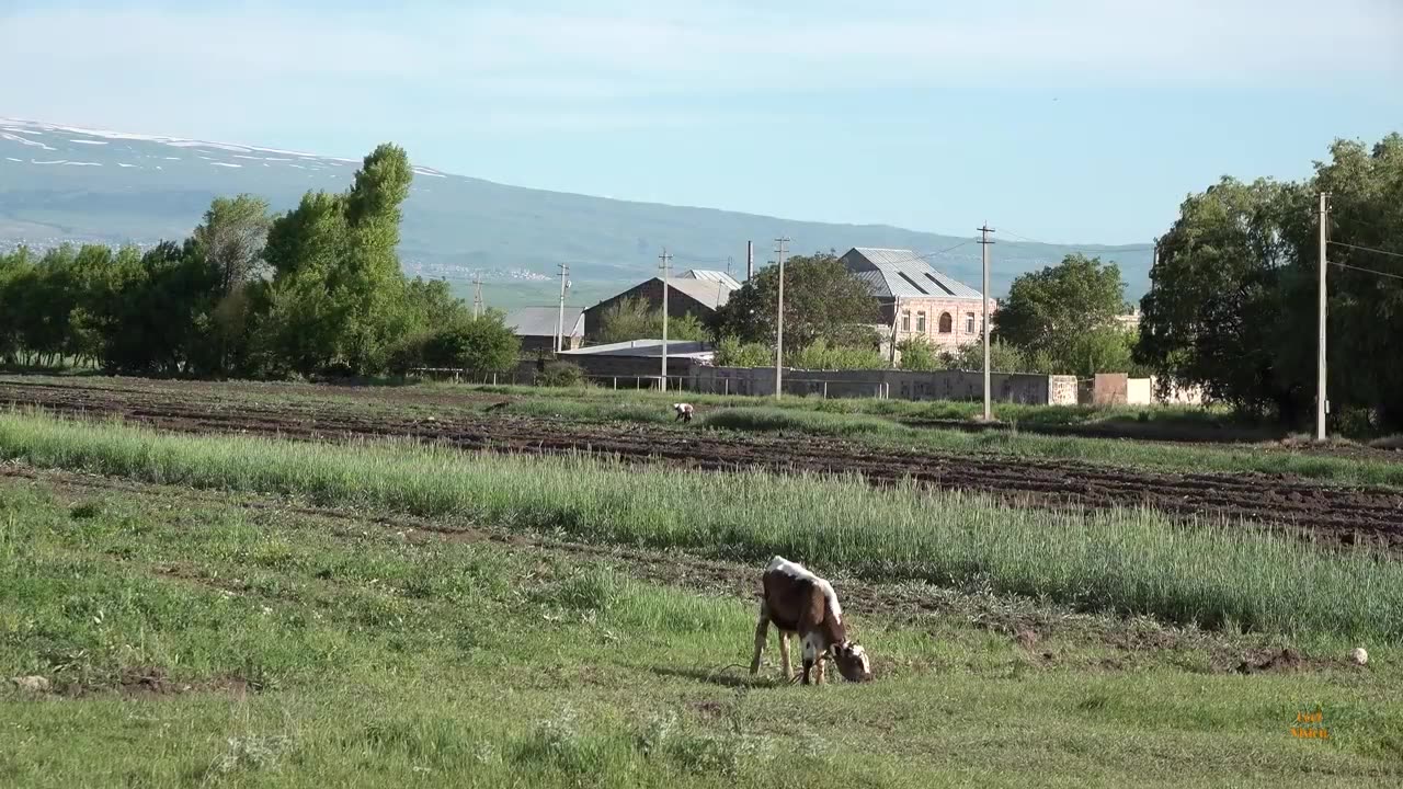 Armenia 4K. Interesting Facts About Armenia