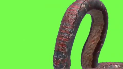 Anaconda eat for goat animation VFX video