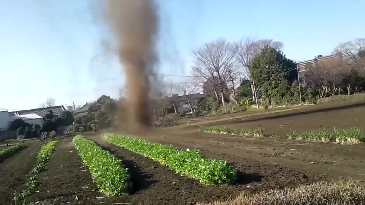 When you are in the middle of hoeing, a mini tornado surprises you