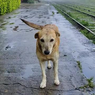 Haputale visit Srilanka