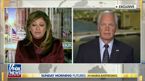 Senator Johnson on Sunday Morning Futures 11.13