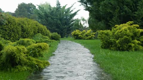 Rain in The Green Square - Rainstorm & Thunder - Rain Sounds for Sleeping, Relaxaing or Studying