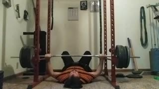 Colossus bench shirt floor press