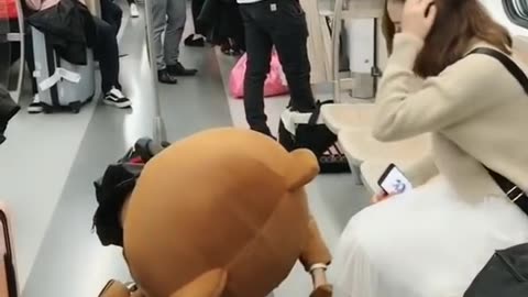 Bear brown funny moments - Tik Tok funny video