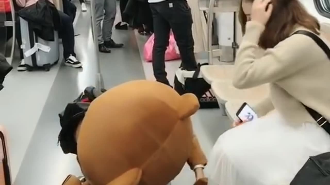 Bear brown funny moments - Tik Tok funny video