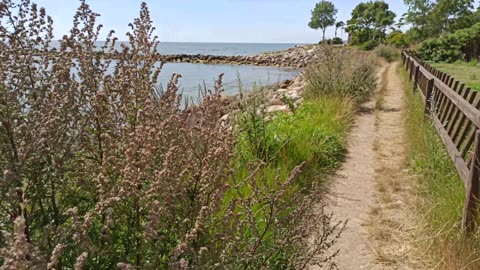 Promenad längst stranden, från Hagestad till Löderups strandbad 2 Aug. 2022