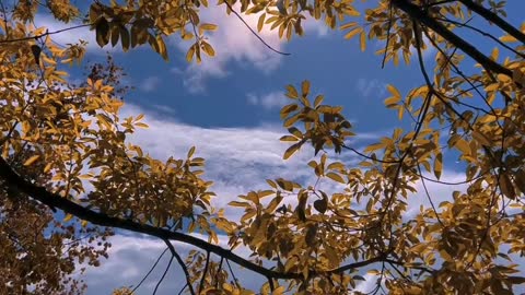 Autumn is coming.