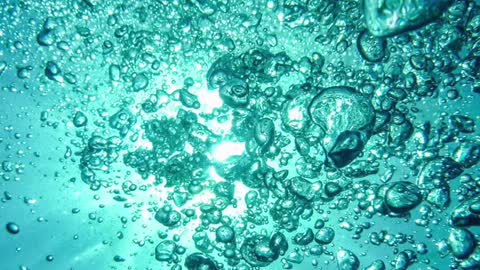Things under a microscope 😱🌏