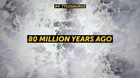 10 Biggest Sea Dinosaurs That Ever Existed on Earth