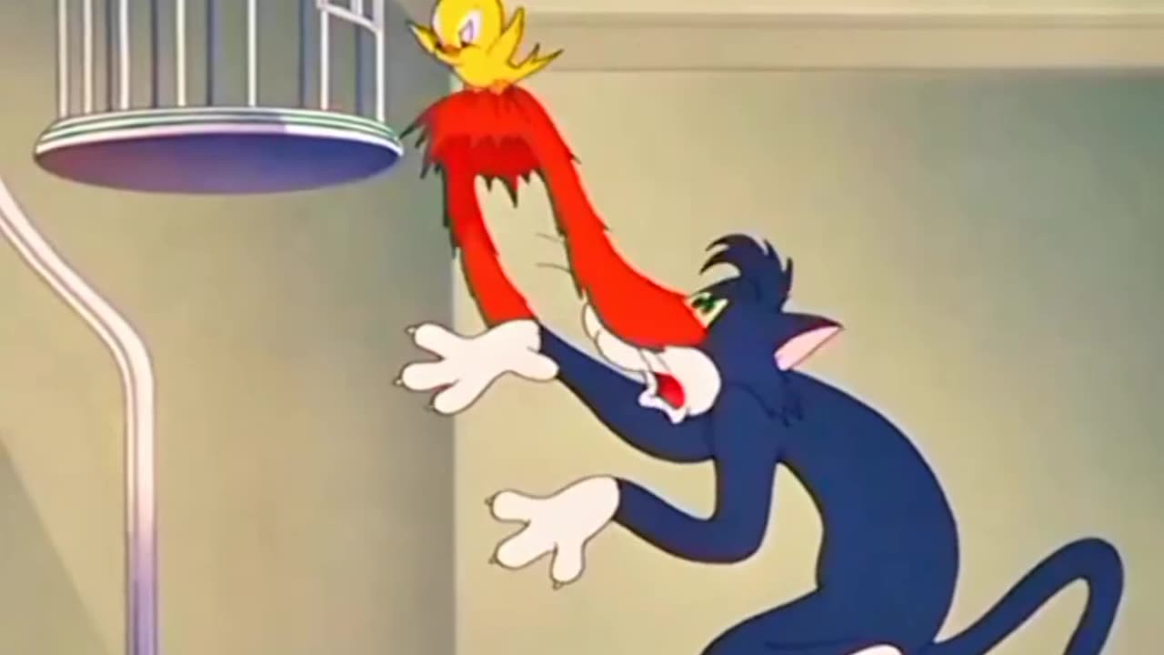 Tom and Jerry