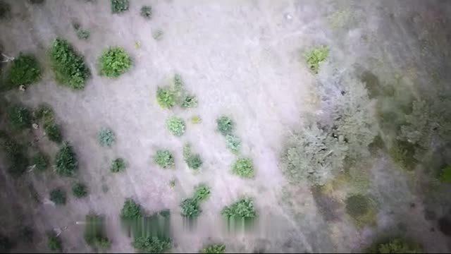 Special forces ambush in Ukraine