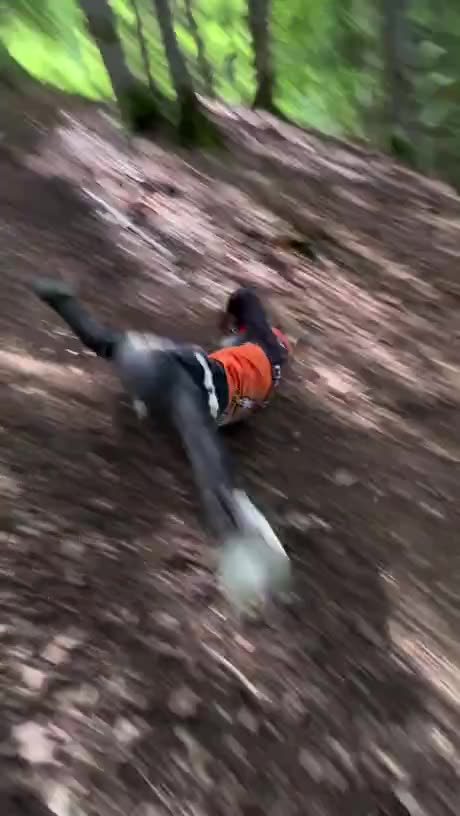 Pressing reset button in racing game be like