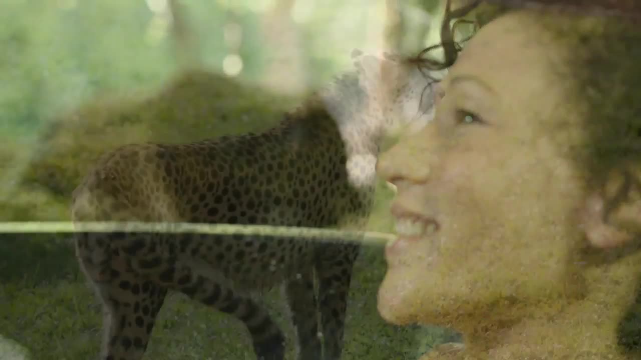 BEST WILDLIFE SHORT VIDEOS FOR KIDS zoo animal life