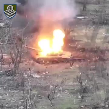 Blowing Up Russian Tank With 100$ Grenades