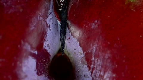 Plum fruit cutting Video close-up, Slow-motion