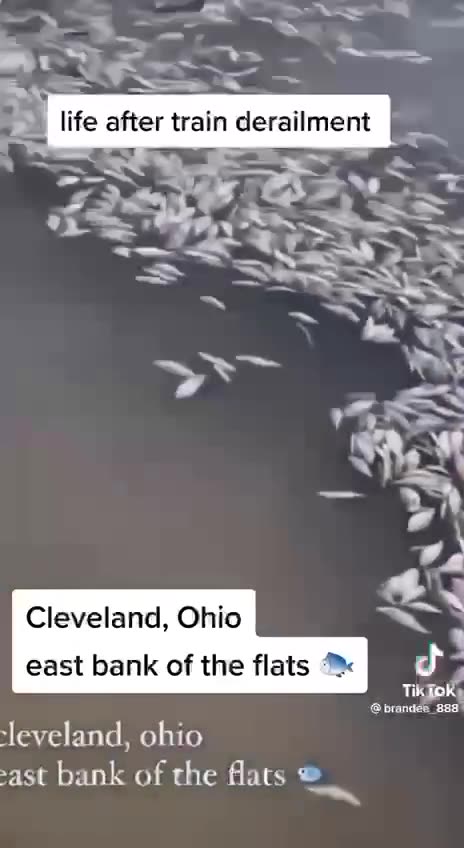 East bank of the flats, Cleveland, Ohio