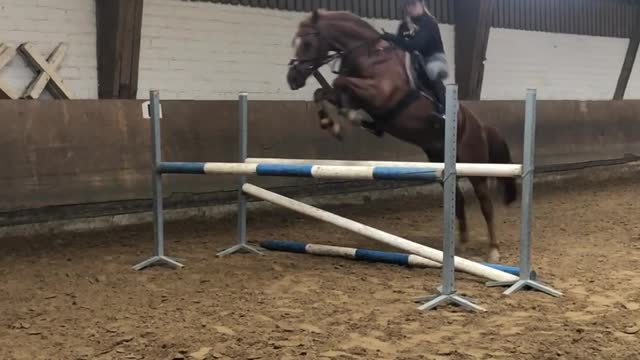 Jumping Horse Sends Rider Flying