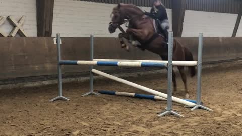 Jumping Horse Sends Rider Flying