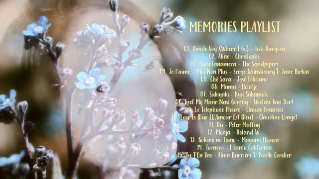 MEMORIES PLAYLIST / Songs To Remember - Compilation by Various Artists