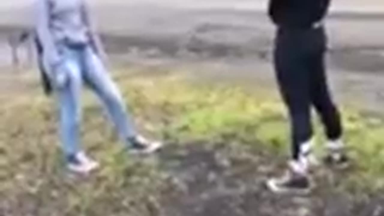 Two girl fight