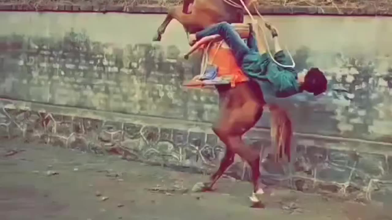 Amazing Horse riding