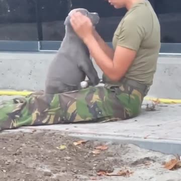 Ukrainian military at their best both on the battlefield and in everyday life