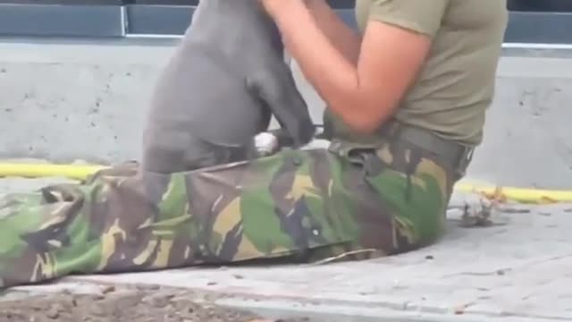 Ukrainian military at their best both on the battlefield and in everyday life