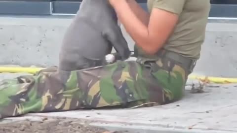 Ukrainian military at their best both on the battlefield and in everyday life